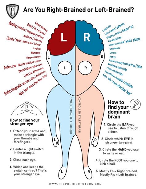 Are You Left Brained Or Right Brained Part I Right Brain Left Vs