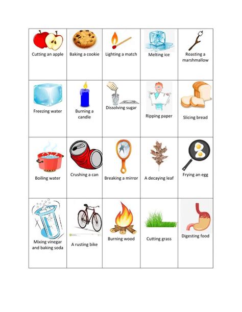 Physical And Chemical Changes Interactive Worksheet For 7 Chemical