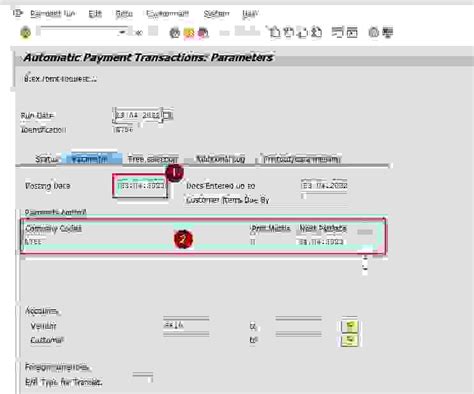 Automatic Payment Program F In Sap