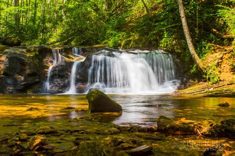 Top 18 Pisgah National Forest Hiking Trails