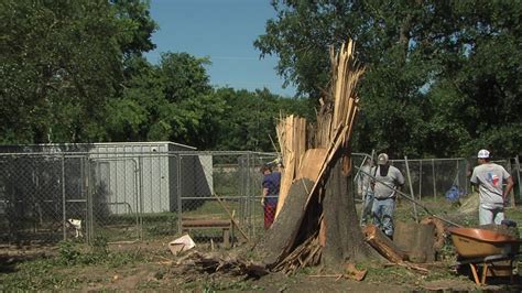 Strong Winds Knock Down Trees Fences At Humane Society