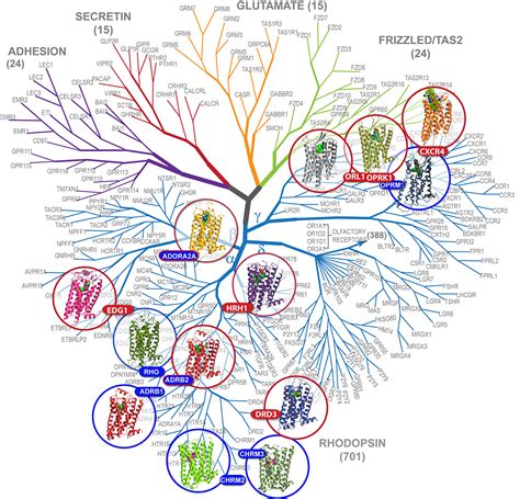 Pdb 101 Highlighting Structural Biology