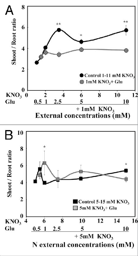 Comparison Of The Fresh Weight Shootroot Ratio In Brassica Napus