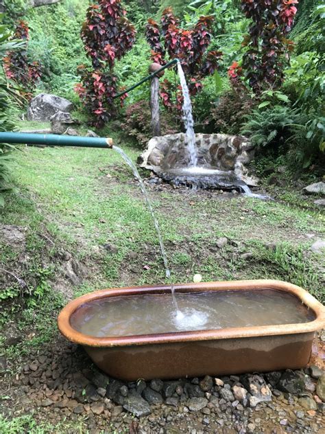 Ti Kwen Glo Cho Hot Springs Discover Dominica Movernie On The Move