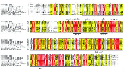 Sequence Alignment Of Homologous Proteins Of Alkb Fully Conserved