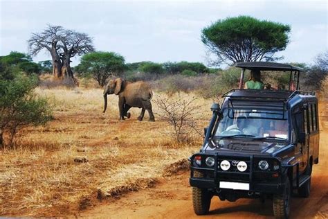 Tripadvisor Hluhluwe Imfolozi Big Game Safari Excurs O De Dia