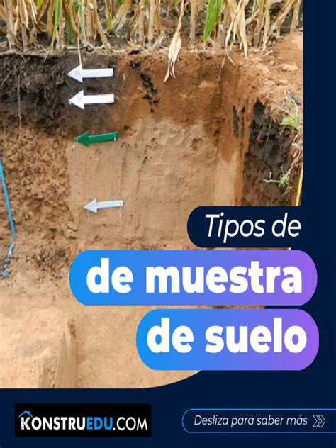 Tipos de Muestra de Suelo | PDF