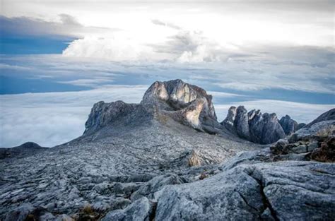 10 Best Hikes and Trails in Kinabalu National Park | AllTrails