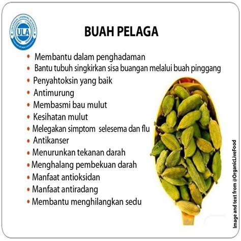 KHASIAT KESIHATAN BUAH PELAGA Persatuan Pengguna Penang