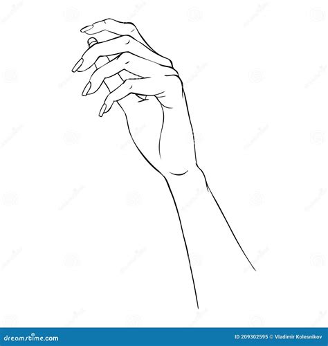 Hand Gestures Outline Vector Illustration Women S Girl S Female Palm