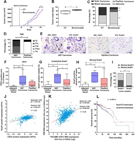 Reduced Angiogenesis Is Associated To Papillary Carcinoma Morphology In