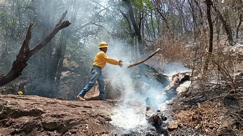 Atenci N De Incendios Forestales En Morelos La Cronica De Morelos