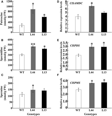 Analysis Of Free Polyamine Pa Levels And Expression Of Key Genes