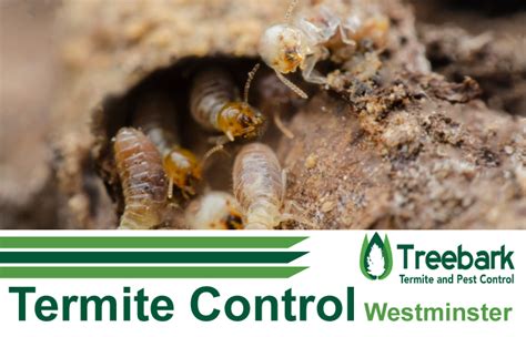 Westminster Treebark Termite And Pest Control Services