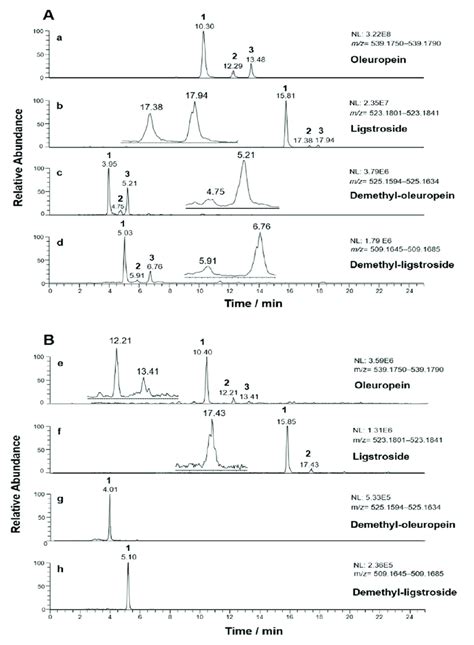 Extracted Ion Current Xic Chromatograms Extraction Window Width Download Scientific Diagram