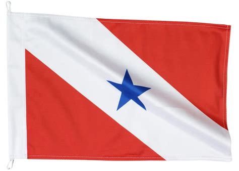 Bandeira De Pará