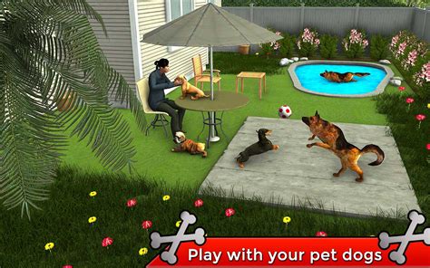 Dog Shelter Animal Rescue Sim - App on Amazon Appstore