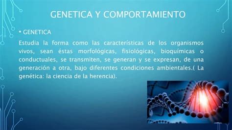 Relacion Entre Genetica Y Comportamiento Ppt Descarga Gratuita