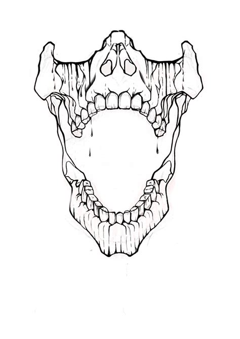 Skull Jaw Drawing - Drawing.rjuuc.edu.np