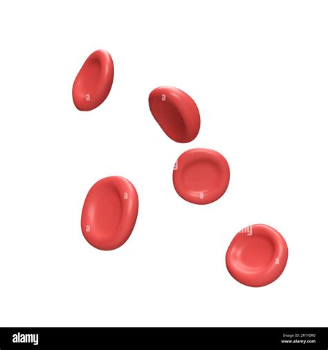 D Flow Red Blood Cells Iron Platelets Erythrocyte Anemia Realistic