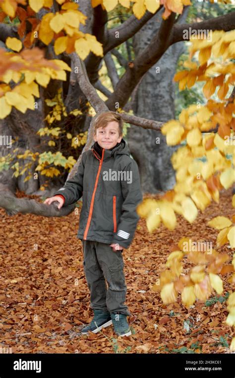 Junge Spa In Sch Nen Park Mit Trockenen Gelben Und Roten Bl Ttern