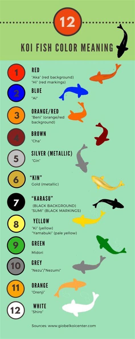 koi fish color meaning chart #KoiFishInformation #KoiFishColors | Koi ...