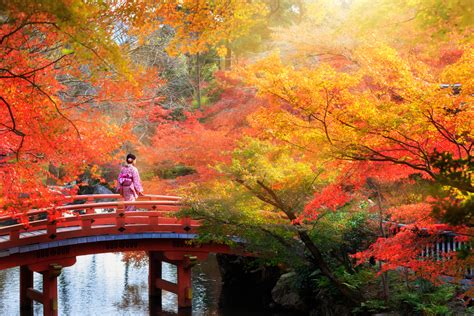 【2024年版】関西でおすすめの紅葉スポット：見頃の時期を紹介 おすすめ旅行を探すならトラベルブックtravelbook