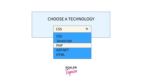 How to Make Dropdown Menu in HTML? - Scaler Topics