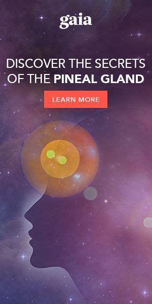 Top Five Foods For The Pineal Gland Pinealgland Gland Pineal Gland Energy Healing