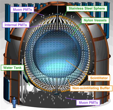 Neutrino Group of Livia Ludhova