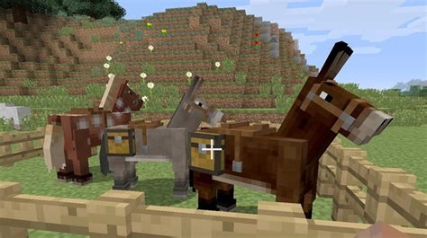 Como Reproduzir Cavalos E Burros Em Minecraft Para Criar Mulas