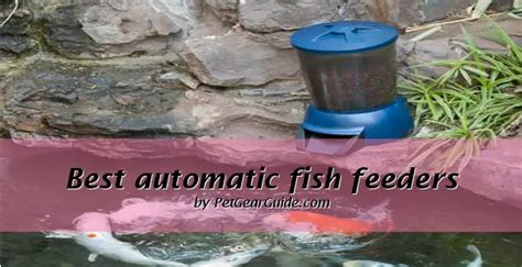 Best Automatic Pond Fish Feeder Reviews Petgearguide