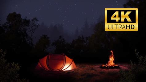 Mountain Forest Night Camping Sleep Inducing Ambience With Campfire