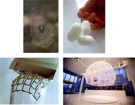 Samples of different uses of silk, natural and biomedical ones. Images... | Download Scientific ...