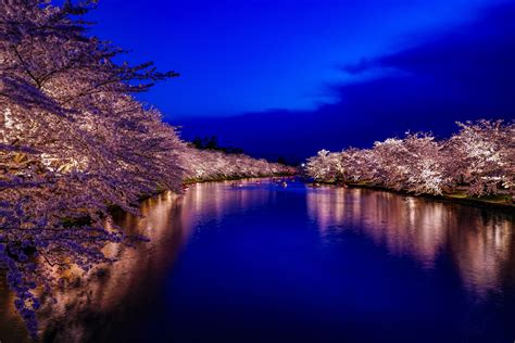 弘前城 桜 ライトアップ 弘前城 桜 美しい風景 風景