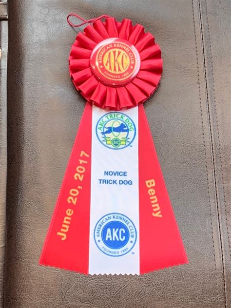 Personalized AKC Trick Dog Rosette Title Ribbons Novice - Etsy