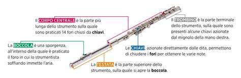 Ciencias Jugo Ser Flauto Traverso Posizioni Cardenal Profesor Melodrama