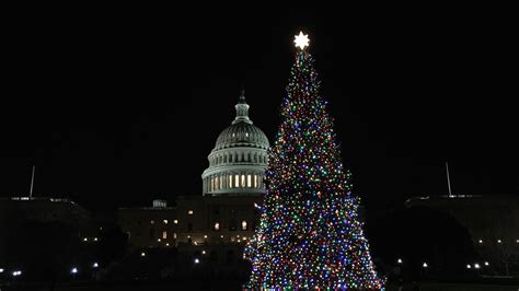 Capitol Christmas Tree - Adventures in DC