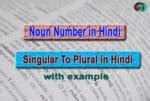 Rules Singular To Plural In Hindi Singular Plural