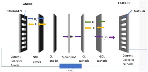 Schematic Of Typical Pem Fuel Cell Download Scientific Diagram