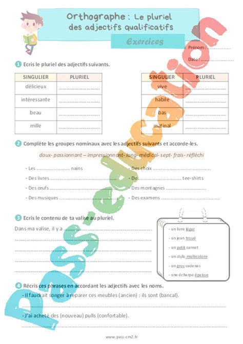 Le Pluriel Des Adjectifs Qualificatifs Exercices D Orthographe 5eme