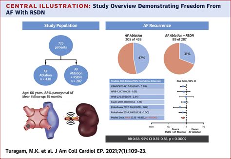 Renal Sympathetic Denervation As Upstream Therapy During Atrial