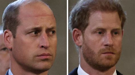 Royal Author Reveals Coded Message From Prince Harry That Wounded