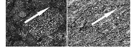 Optical Micrograph Showing Microstructural Inclination For A GC After