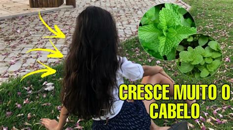 Use Essa Folha Na Raiz Do Cabelo E Fa A Seu Cabelo Crescer Como Nunca