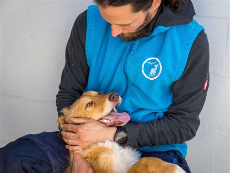 Gemeinsam Zum Schutz Der Tiere Deutscher Tierschutzbund E V