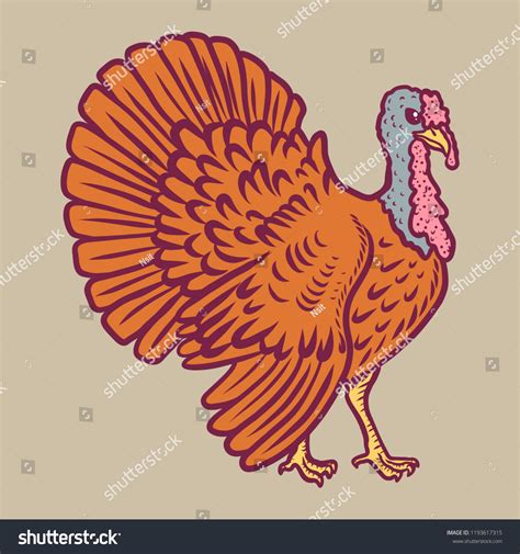 Drawing Realistic Turkey Icon Hand Drawn Stock Vector (Royalty Free ...