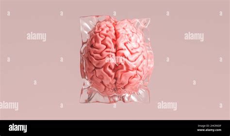 Human Brain Wrapped In Shrink Wrap As A Plastic Waste And Medical