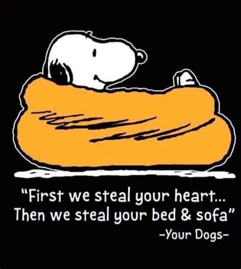 Pin By Karen On Woodstock Snoopy Snoopy Funny Snoopy Love Snoopy