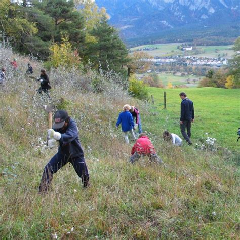 Tierlexikon Blindschleiche Wwf Panda Club